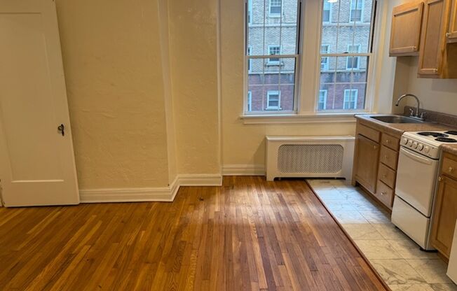 Studio, 1 bath, 294 sqft, $1,225, Unit New King Edward 210