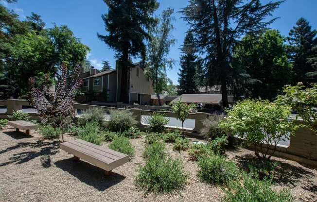 park area with benches and buildings in the background