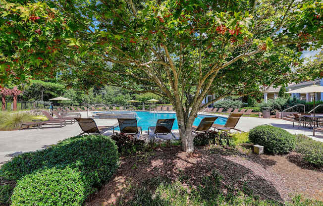 Lullwater at Bass | Pool w/ Sundeck