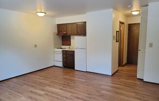 Studio, 1 bath, $725