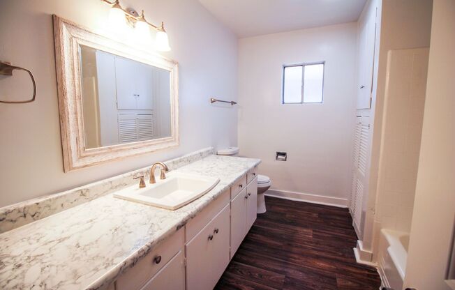 1 bed, 1 bath, 800 sqft, $1,295, Unit 08