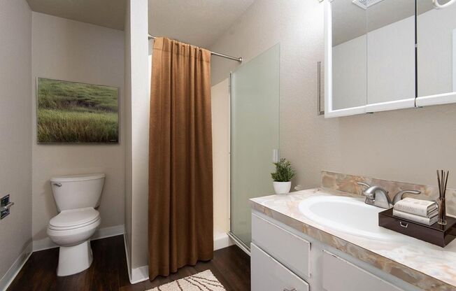 1 bed, 1 bath, 712 sqft, $1,445, Unit A10