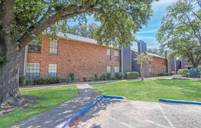 A tree in front of a brick building with a blue painted line on the ground.