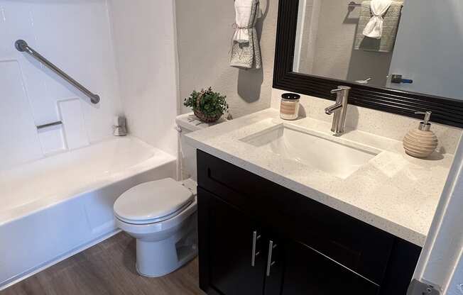 a bathroom with a sink and a toilet and a bath tub