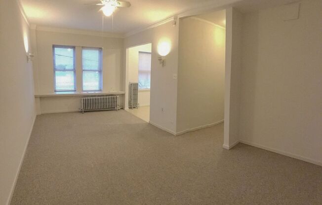 Studio, 1 bath, 233 sqft, $1,230, Unit 915