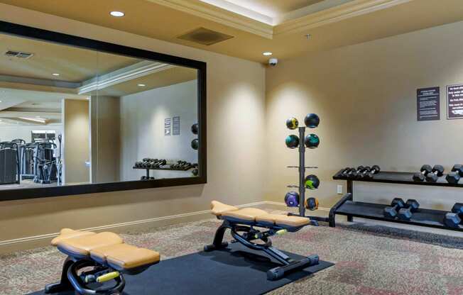 a gym with weights and a large mirror at The Rays at Vegas Towers Apartments, Las Vegas, NV