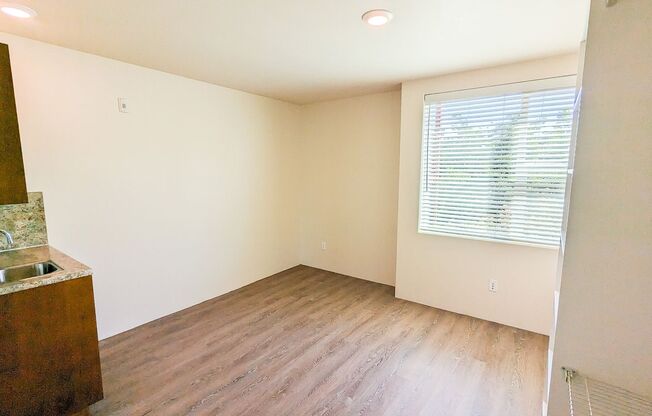 Studio, 1 bath, 165 sqft, $1,050, Unit 351