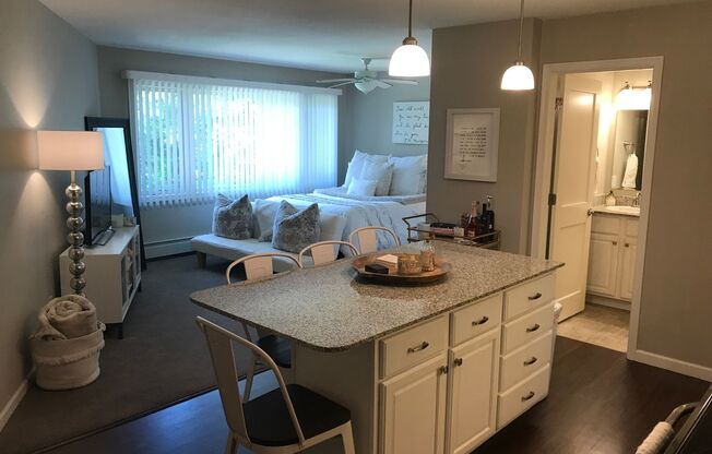 Studio, 1 bath, 480 sqft, $1,325, Unit 201