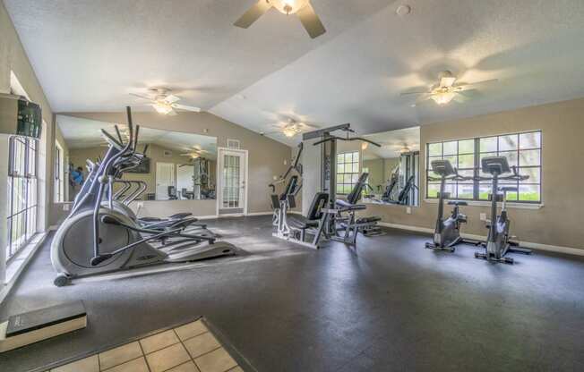 Fitness Center at Laurel Oaks Apartments in Tampa, FL