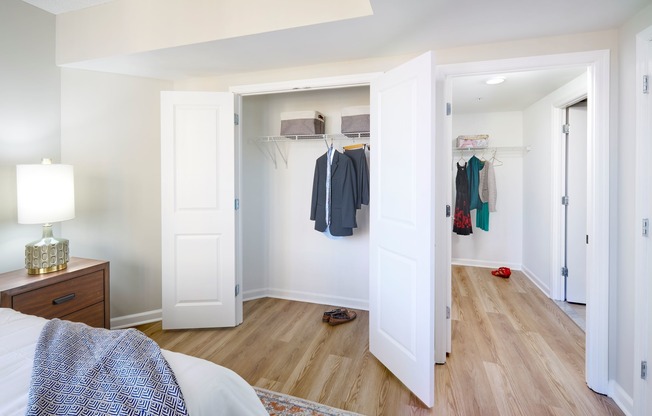 Bedroom & Closet in a Newly Renovated Apartment