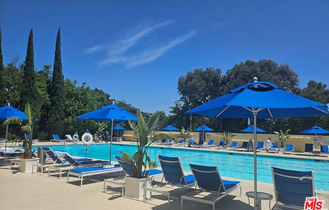 1 bed, 1 bath, 805 sqft, $3,900, Unit 1010