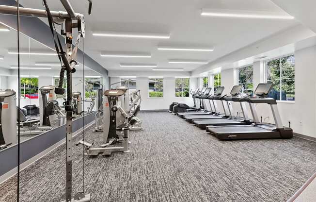 a gym with treadmills and elliptical machines