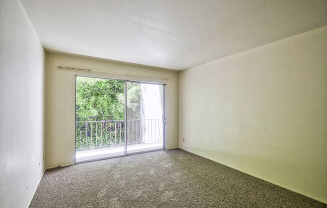 1 bed, 1 bath, $1,695, Unit 5