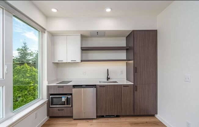 Studio, 1 bath, 250 sqft, $1,350, Unit 101