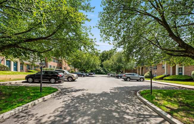 A tree-lined street with cars parked on the side.
