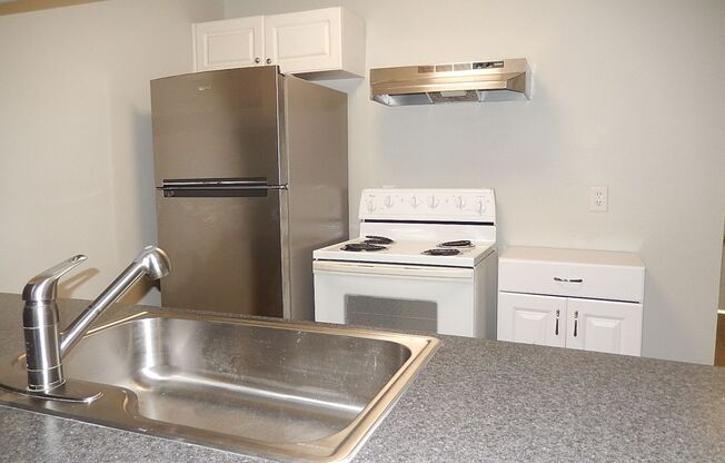 RENOVATED 3/3 w/ Washer/Dryer, Fenced Yard, & More! Available NOW for $1400/month!