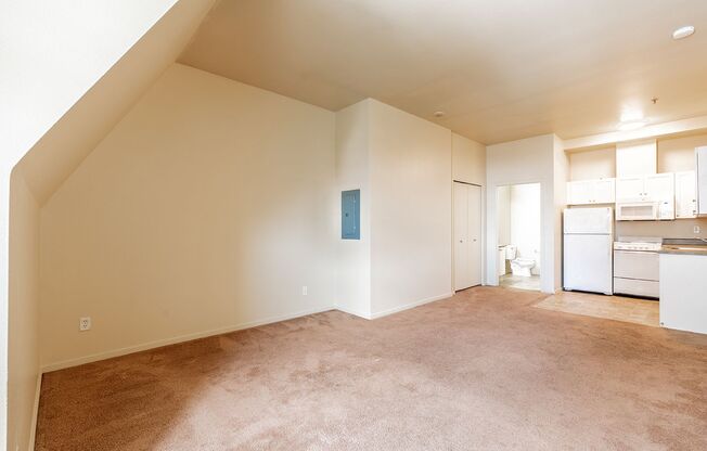 Studio, 1 bath, 438 sqft, $1,100, Unit 1005