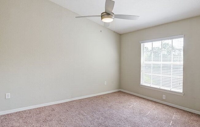 Gallery Photo 10