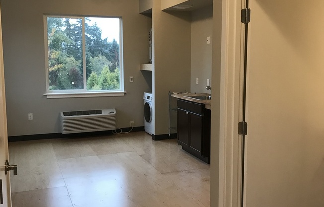 Studio, 1 bath, 308 sqft, $1,225, Unit 301