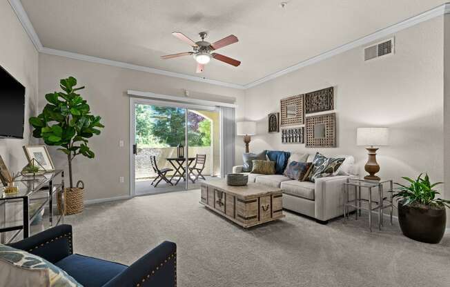 Ceiling fans with light kits - Willow Spring Apartments