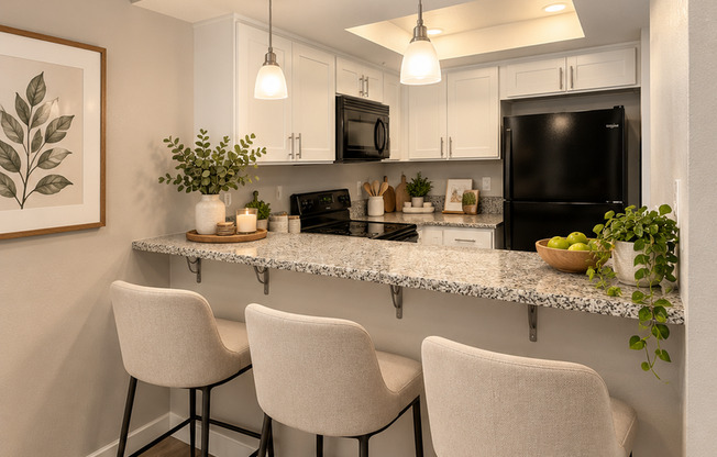 Studio, 1 bath, 446 sqft, $1,950, Unit 100