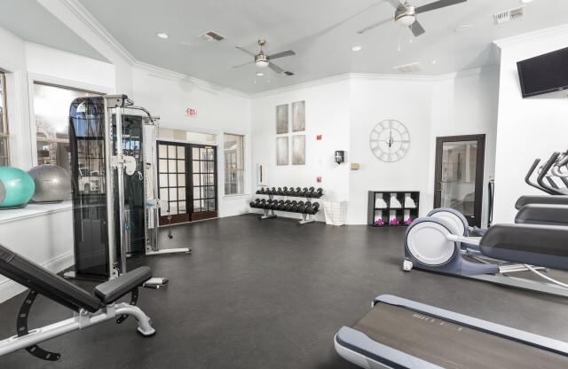 View of Fitness Center, Showing Weight Benches, Stability Balls, Free Weights, and Cardio Equipment at Stonebriar of Frisco Apartments