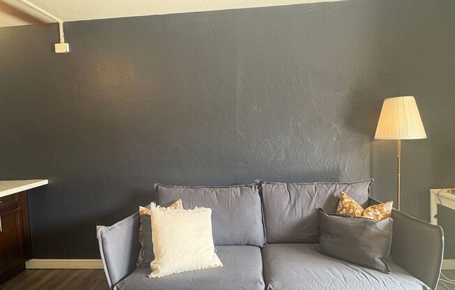 Studio, 1 bath, 370 sqft, $1,299, Unit 20