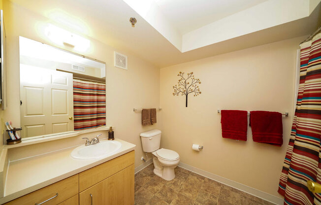 Large Bathroom at Hunters Pond Apartment Homes, Champaign, IL