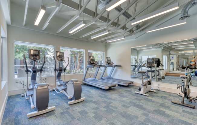our fitness center has a variety of exercise equipment