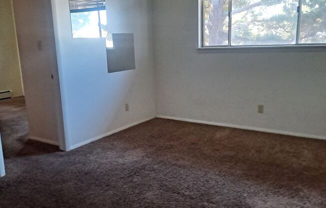 1 bed, 1 bath, 600 sqft, $695, Unit 44