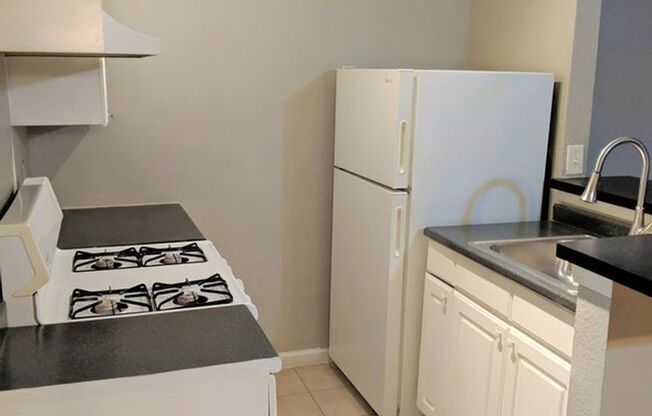 1 bed, 1 bath, 480 sqft, $1,250, Unit 206