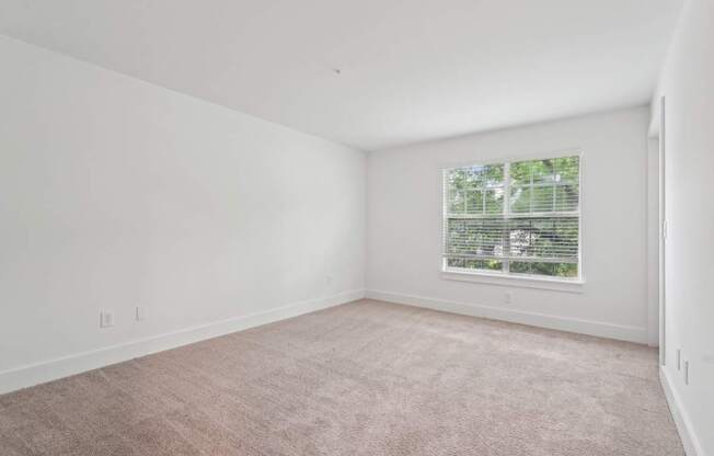 Bedroom with carpet and window