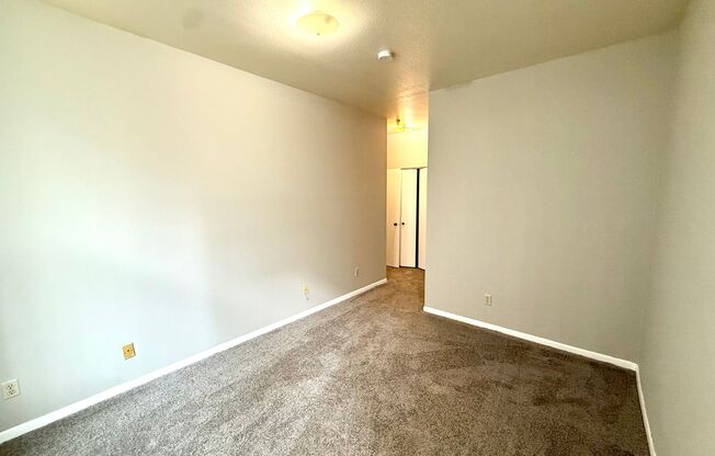 3 beds, 2 baths, 1,115 sqft, $1,295, Unit 305 S 16th St. - Unit 504