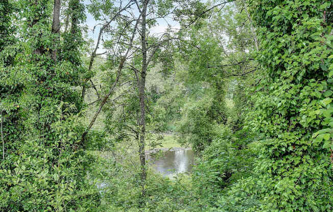 View of the river on a green bank