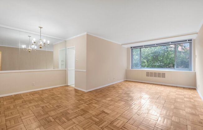 Charming 2 BR/1 BA Condo in Cathedral Heights!