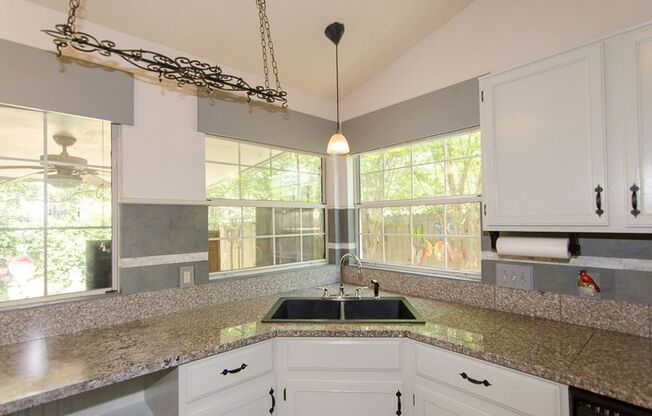 16304 Kicking Bird Drive Leander, TX 78641