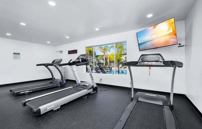 A gym with treadmills and a television displaying a sunset.