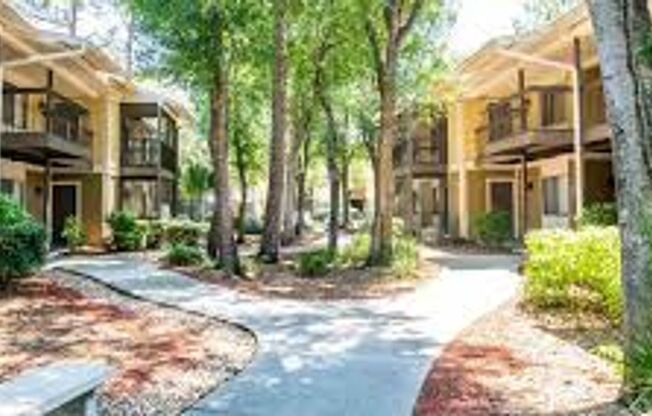 Nice and spacious condo on the 3rd with washer and dryer, near USF and I-75