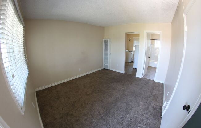 Studio, 1 bath, 275 sqft, $1,699, Unit 5