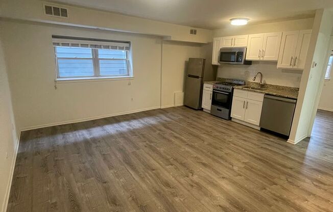 1 bed, 1 bath, 600 sqft, $1,525, Unit Unit 203