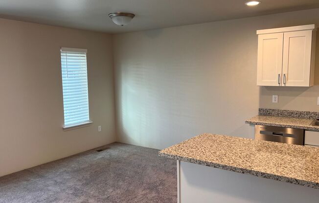 Beautiful Spacious New Built Townhome for Rent