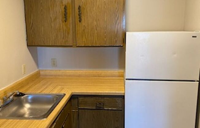 Studio, 1 bath, 520 sqft, $560, Unit 2722-312