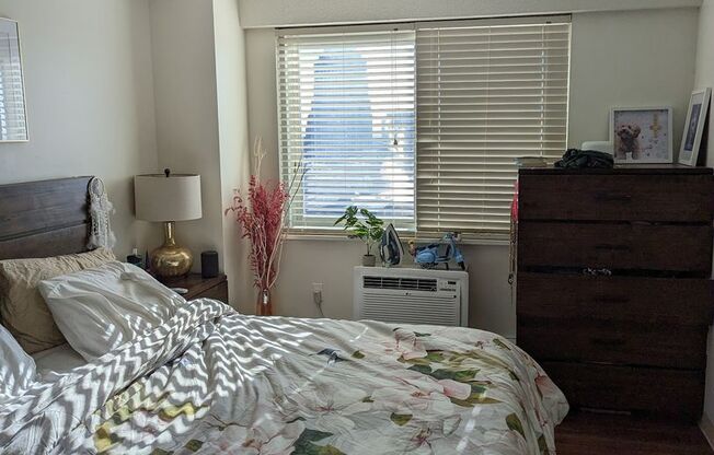 1 bed, 1 bath, 570 sqft, $3,000, Unit 1707
