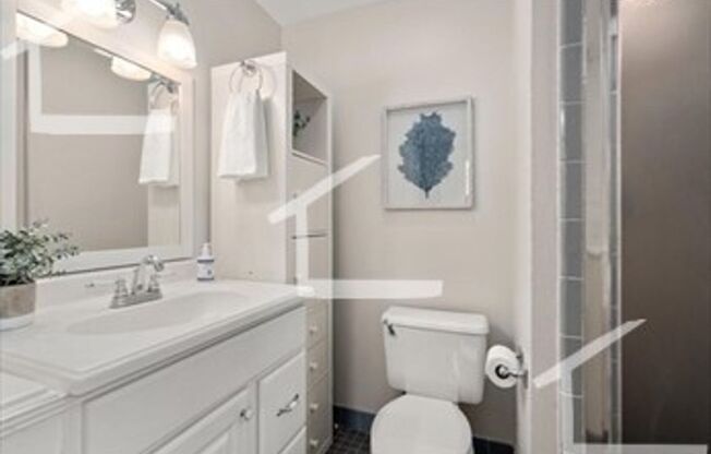 Unique Coolidge Corner Condo for Rent