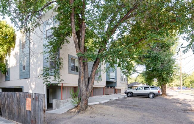 2 beds, 1 bath, 690 sqft, $1,700, Unit 300