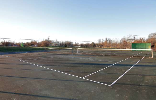 a tennis court at a park on a clear day