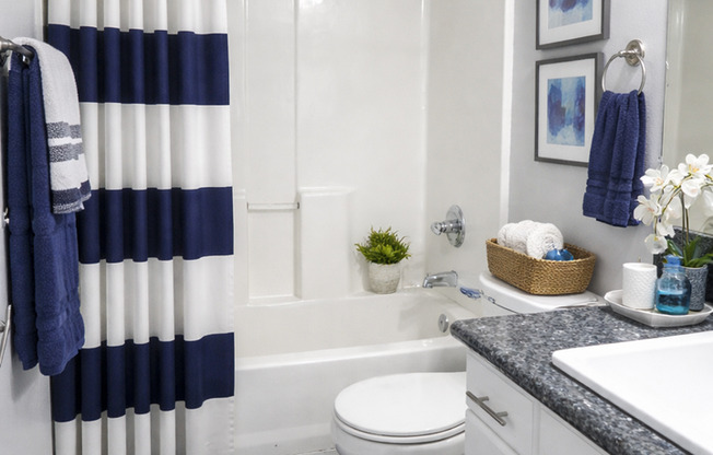 BF9316 (PALM)-TA2 (RUBS)