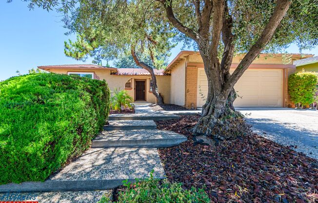 Lovely Blossom Valley Home