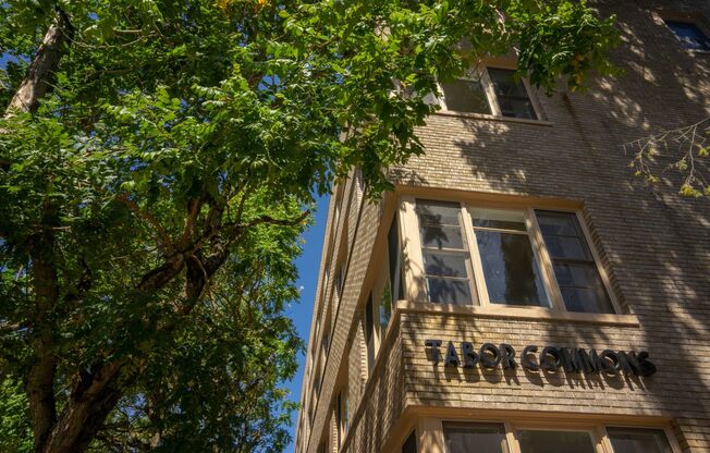 Studio, 1 bath, 292 sqft, $1,199, Unit 224