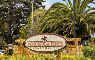 Welcome to Peninsula Pines Apartments in South San Francisco